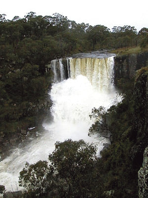 Outdoor Movies in Guyra, Australia